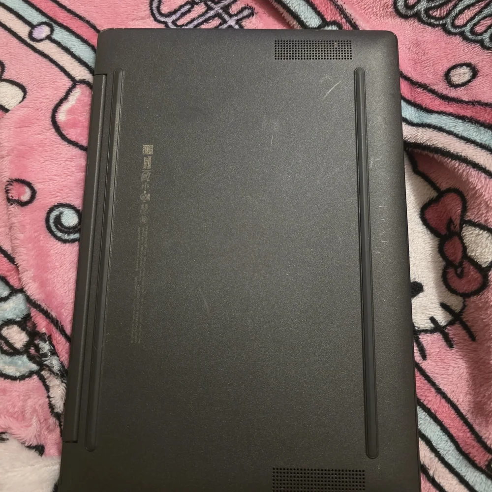 HP Chromebook with Cat and Avocado Sticker